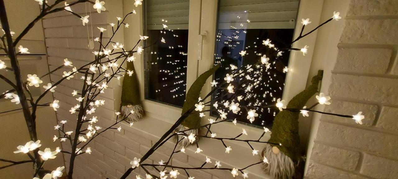 Apartment Ana, Vracar, Belgrade Luaran gambar